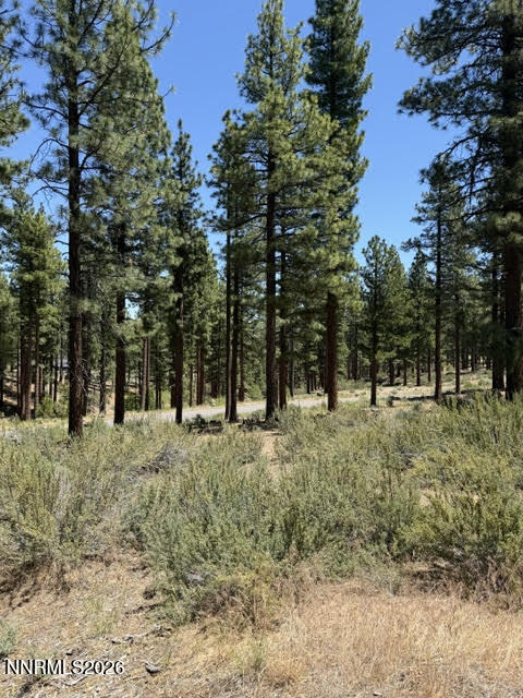195 Walton Toll Road, Unit 210 Carson City, NV 89705 - Photo 3 of 41 Homesite 210