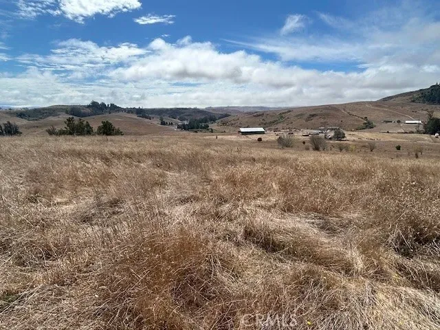 a view of a lake from a yard