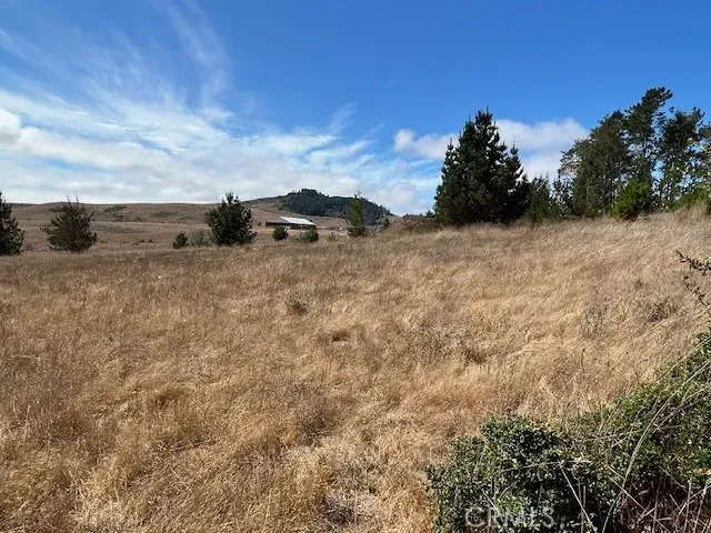a view of mountain and trees in the background