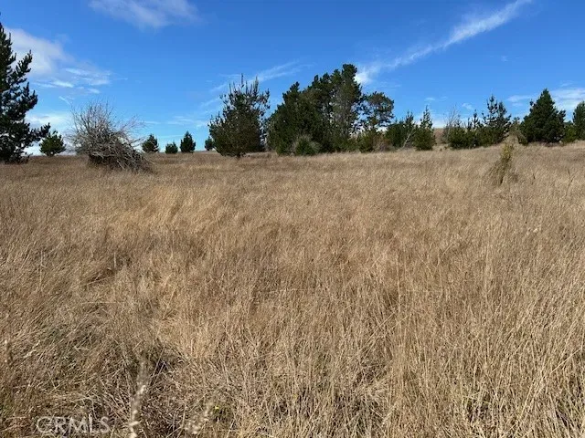 a view of a dry yard with wooden fence