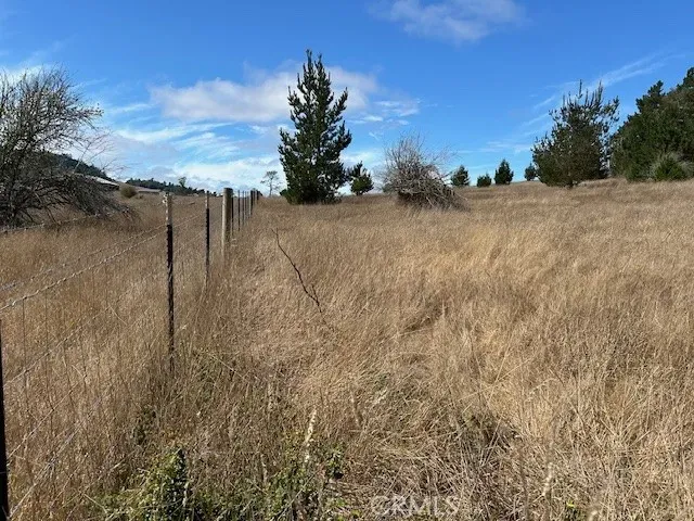 a view of an outdoor space and a yard