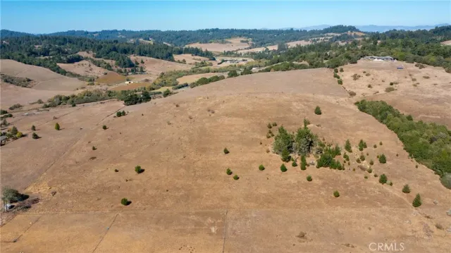 a view of a dry yard with horses