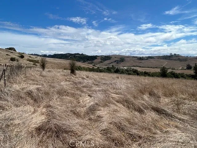 a view of an outdoor space and a yard