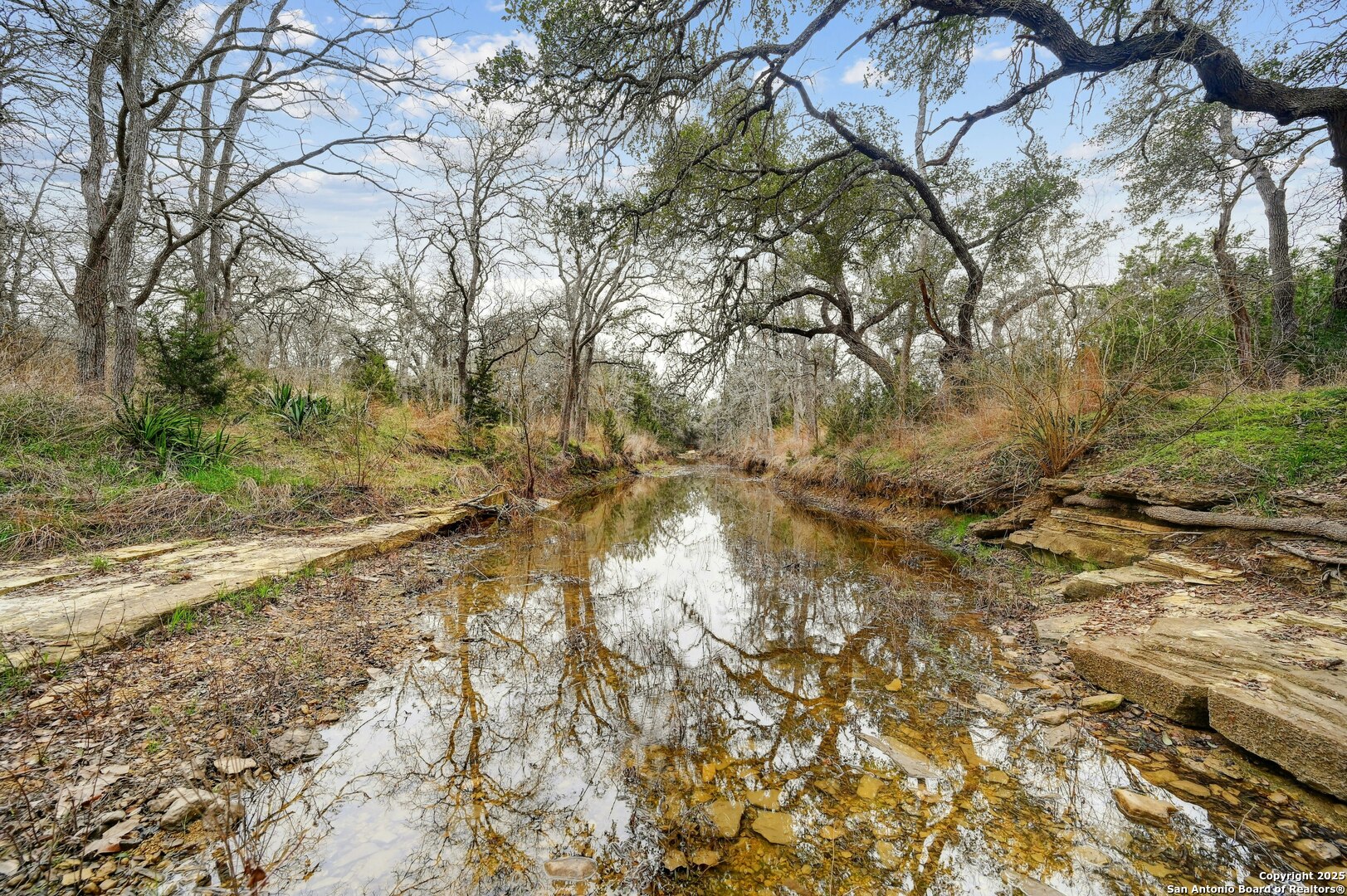 2147 Tejas Trail Blanco, TX 78606 - Photo 2 of 33 a backyard of a house with lots of green space