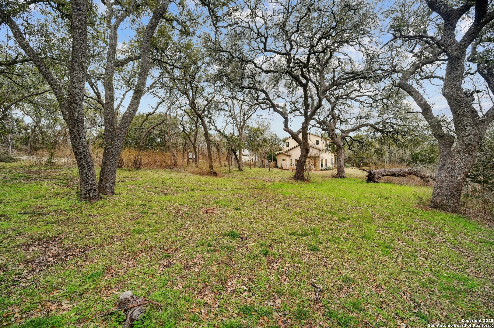 2147 Tejas Trail Blanco, TX 78606 - Photo 29 of 33 a view of yard with trees