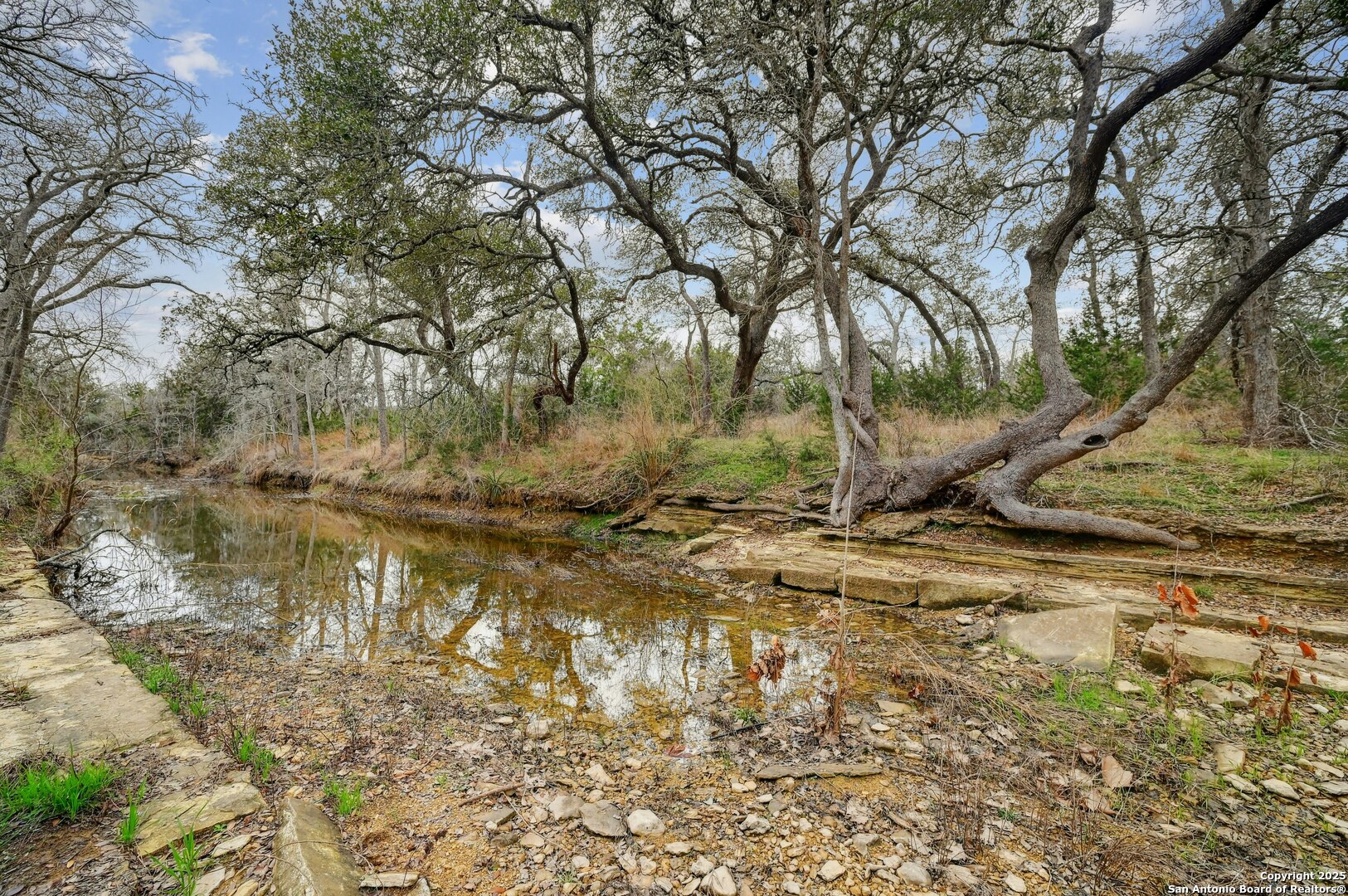 2147 Tejas Trail Blanco, TX 78606 - Photo 31 of 33 a backyard of a house with a yard and large tree