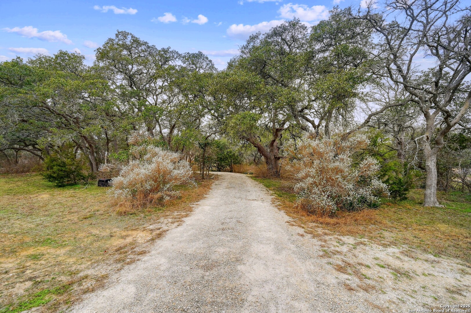 2147 Tejas Trail Blanco, TX 78606 - Photo 5 of 33 a view of a yard with trees