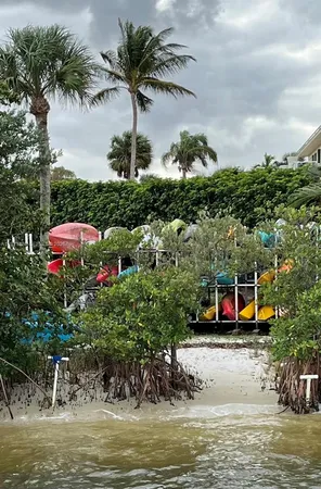an aerial view of residential houses with outdoor space and lake view