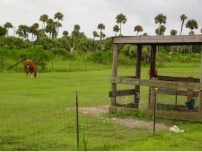 3405 Burkholm Road Mims, FL 32754 - Photo 8 of 11 Additional Photo