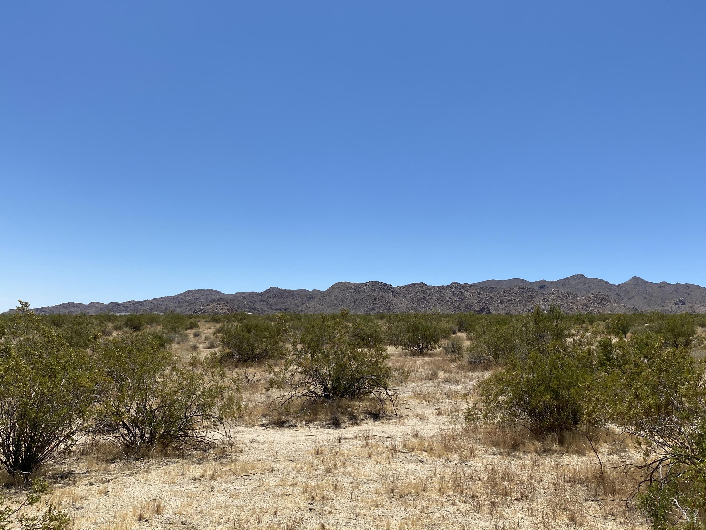 64979 Sullivan Road Joshua Tree, CA 92252 - Photo 3 of 11 IMG_0154