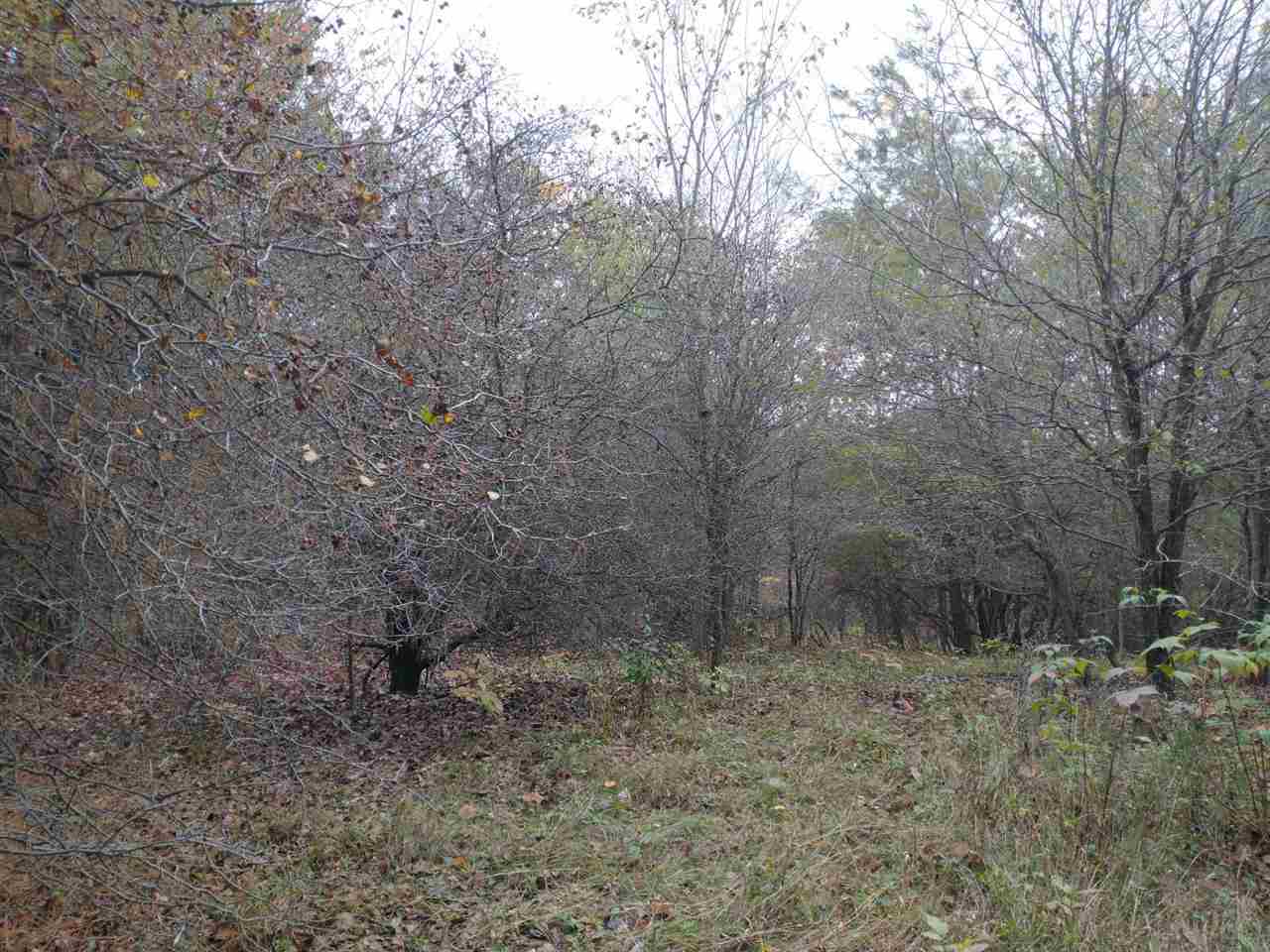 Lot 263 Islanders Way Gladwin, MI 48624 - Photo 5 of 14