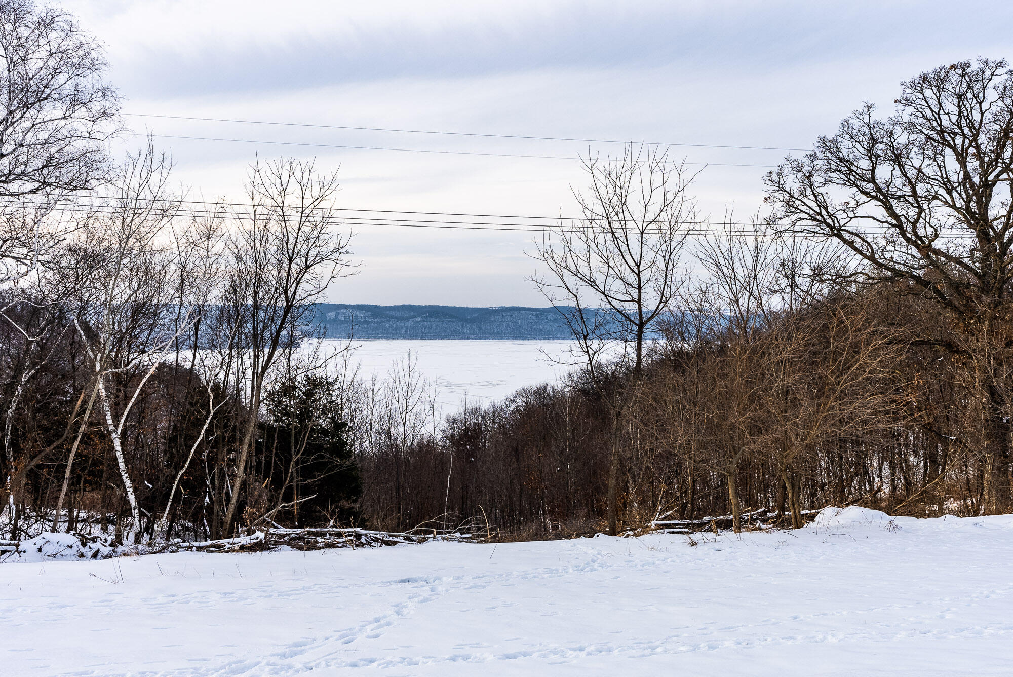 N123 Eckert Lane Genoa, WI 54632 - Photo 19 of 27 Vernon-County-WI-3-Acres-Land-For-Sale-1