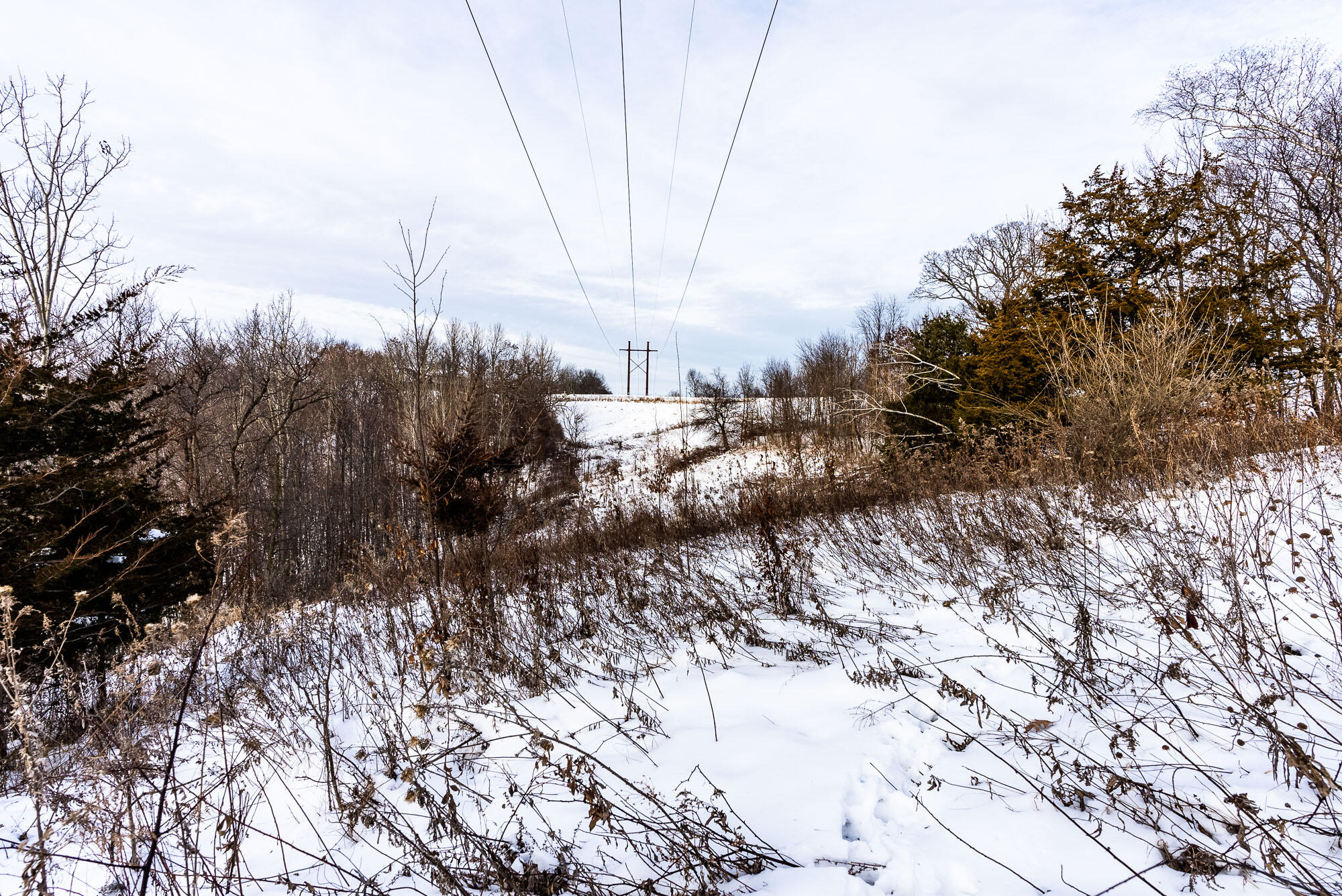 N123 Eckert Lane Genoa, WI 54632 - Photo 21 of 27 Vernon-County-WI-3-Acres-Land-For-Sale-1