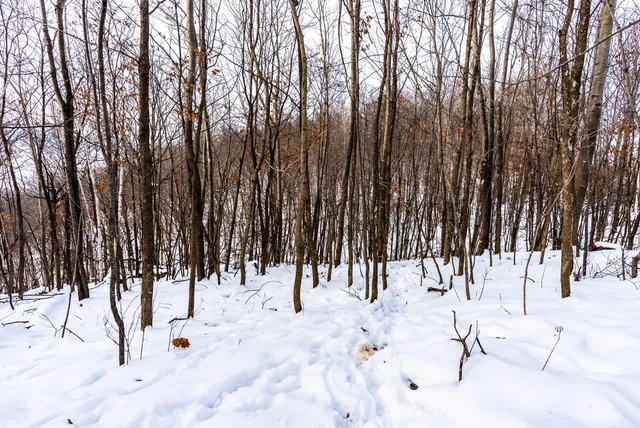 $310,000 | N123 Eckert Lane, Genoa, WI 54632