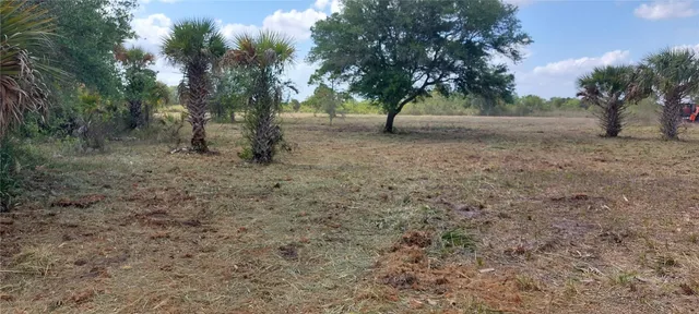a view of open space with trees