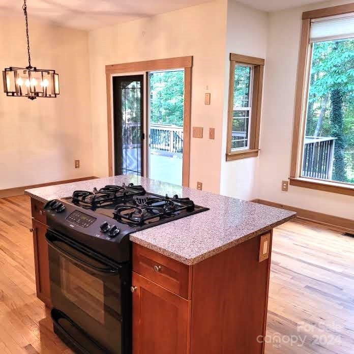 240 Christ School Road Arden, NC 28704 - Photo 9 of 42 Gallery Image 9