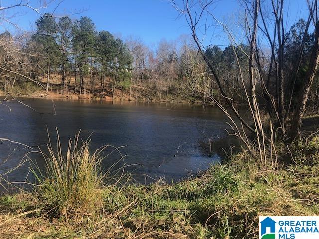 0 Shady Point Road, Unit 18 18 & 19 Locust Fork, AL 35097 - Photo 10 of 26