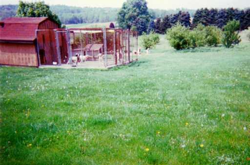 110 Country Lane Road Butler, PA 16001 - Photo 6 of 8 Other.