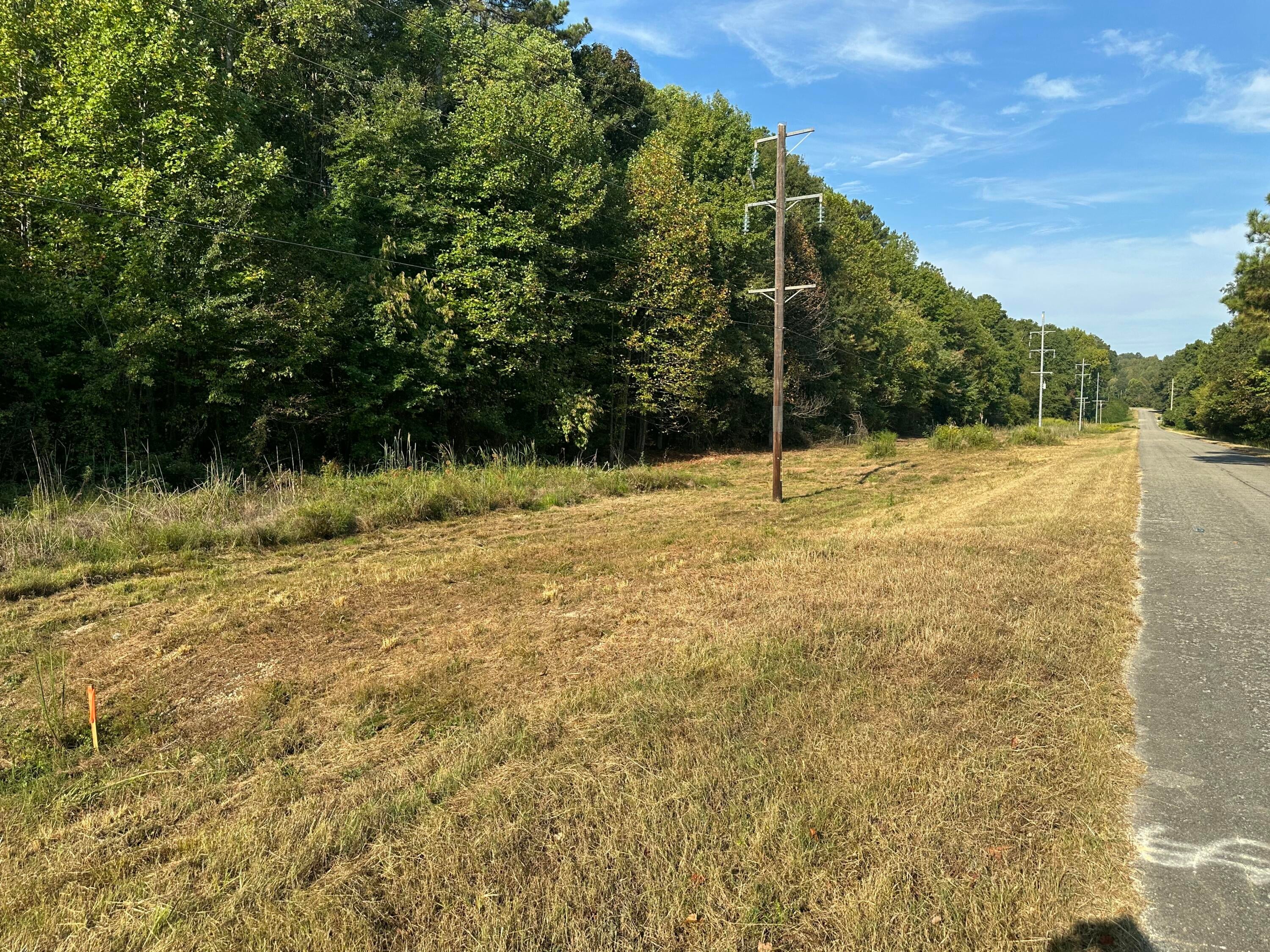 871 Margerum Tract 2 Road Cherokee, AL 35616 - Photo 1 of 9 Gallery Image 1