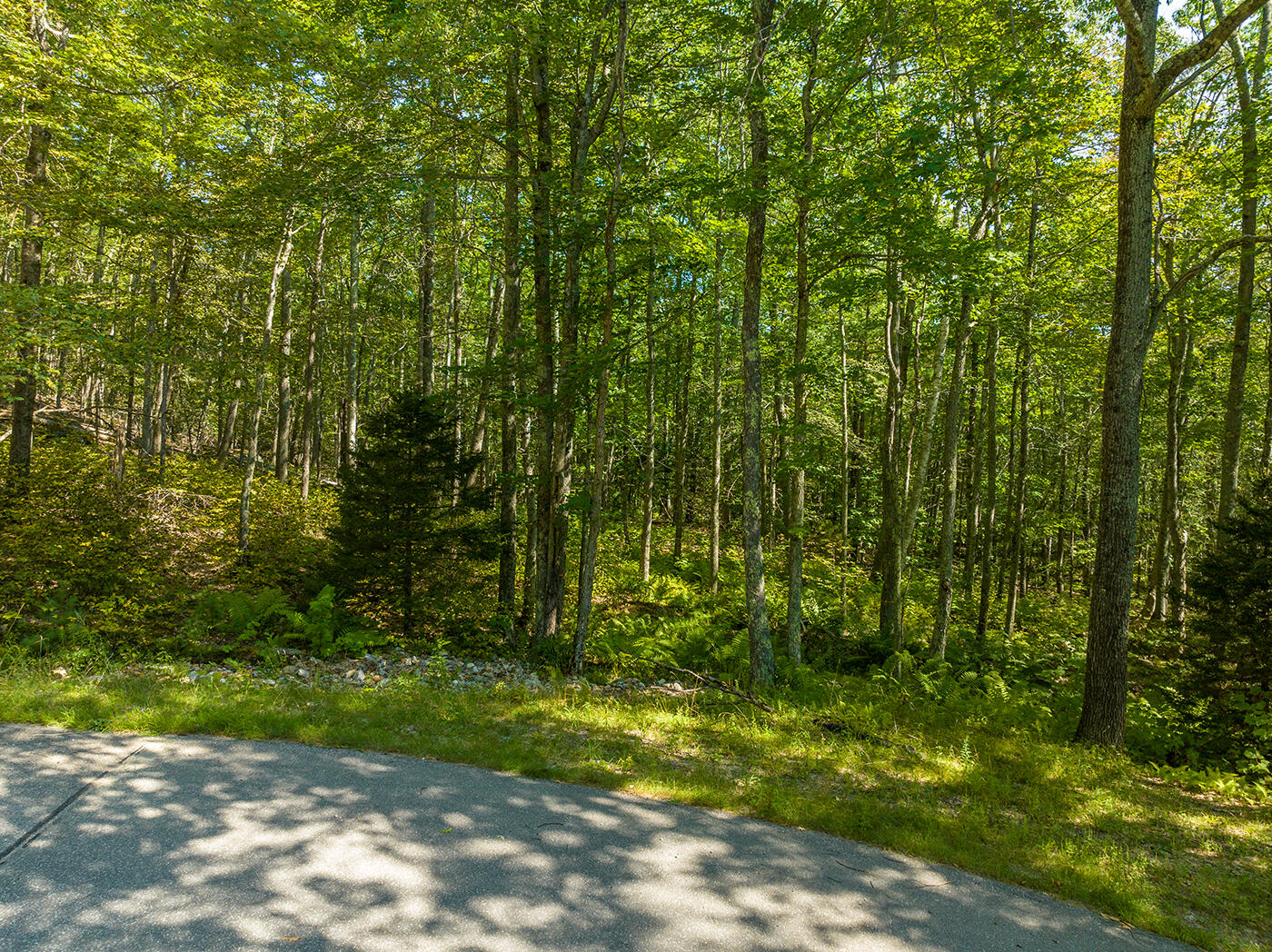 0 Bald Mountain Road Camden, ME 04843 - Photo 11 of 15 DJI_0418