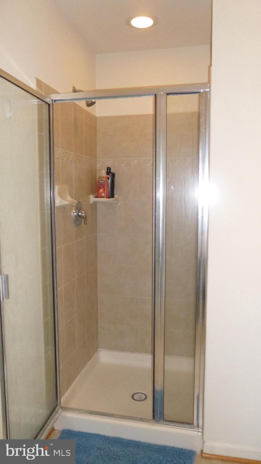 310 Monroe Point Drive Colonial Beach, VA 22443 - Photo 25 of 36 a bathroom with a glass shower door