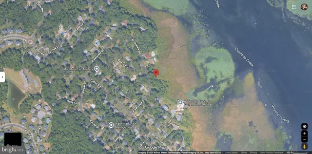 a picture of a tree with a yard