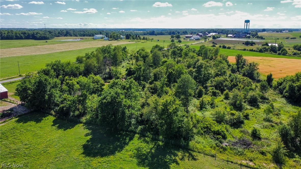 Holshoe Road Homerville, OH 44235 - Photo 21 of 28