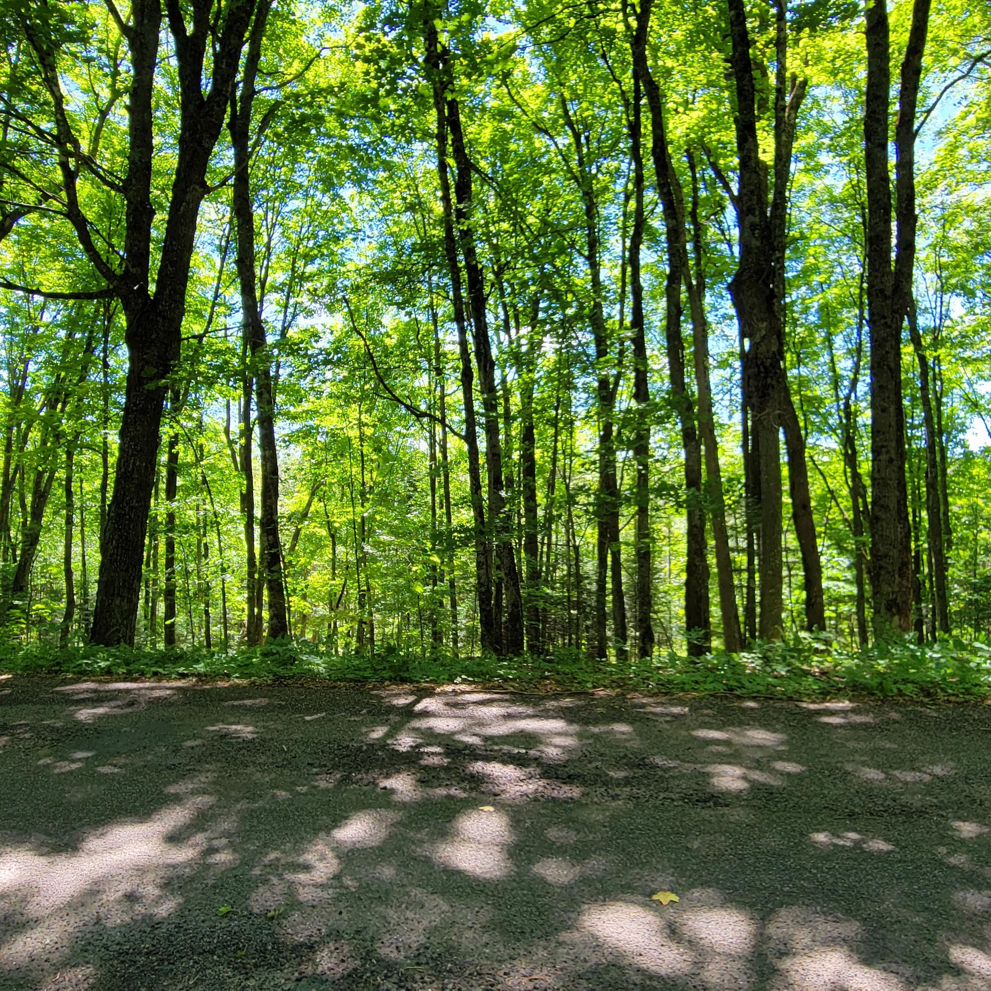 Lot 14 Red Fox Road Presque Isle, WI 54557 - Photo 17 of 17 Gallery Image 17