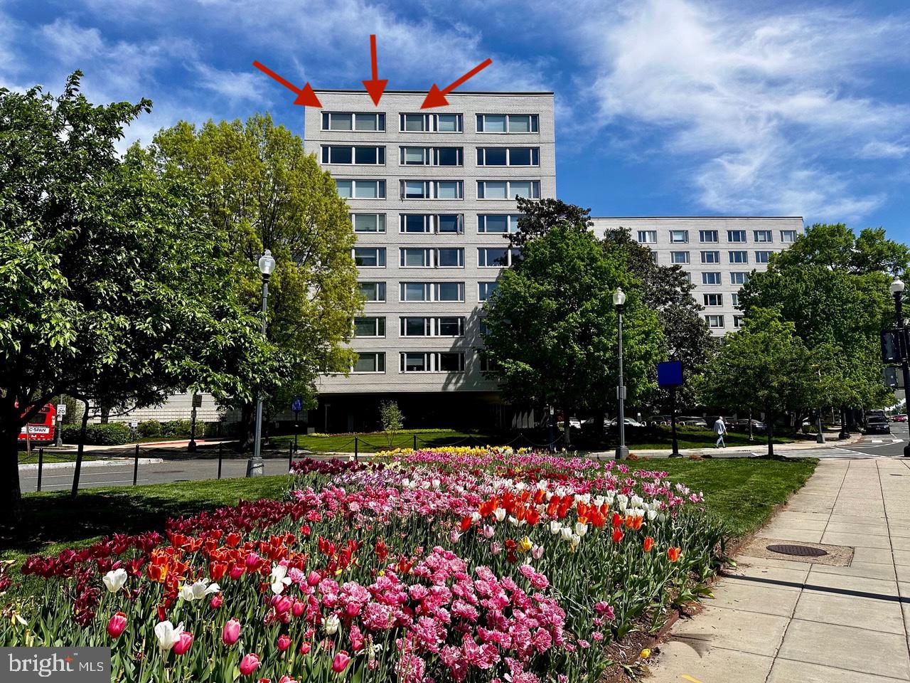 a building view with a garden space