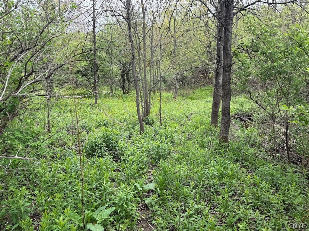 Reynolds Road Franklinville, NY 14737 - Photo 17 of 38