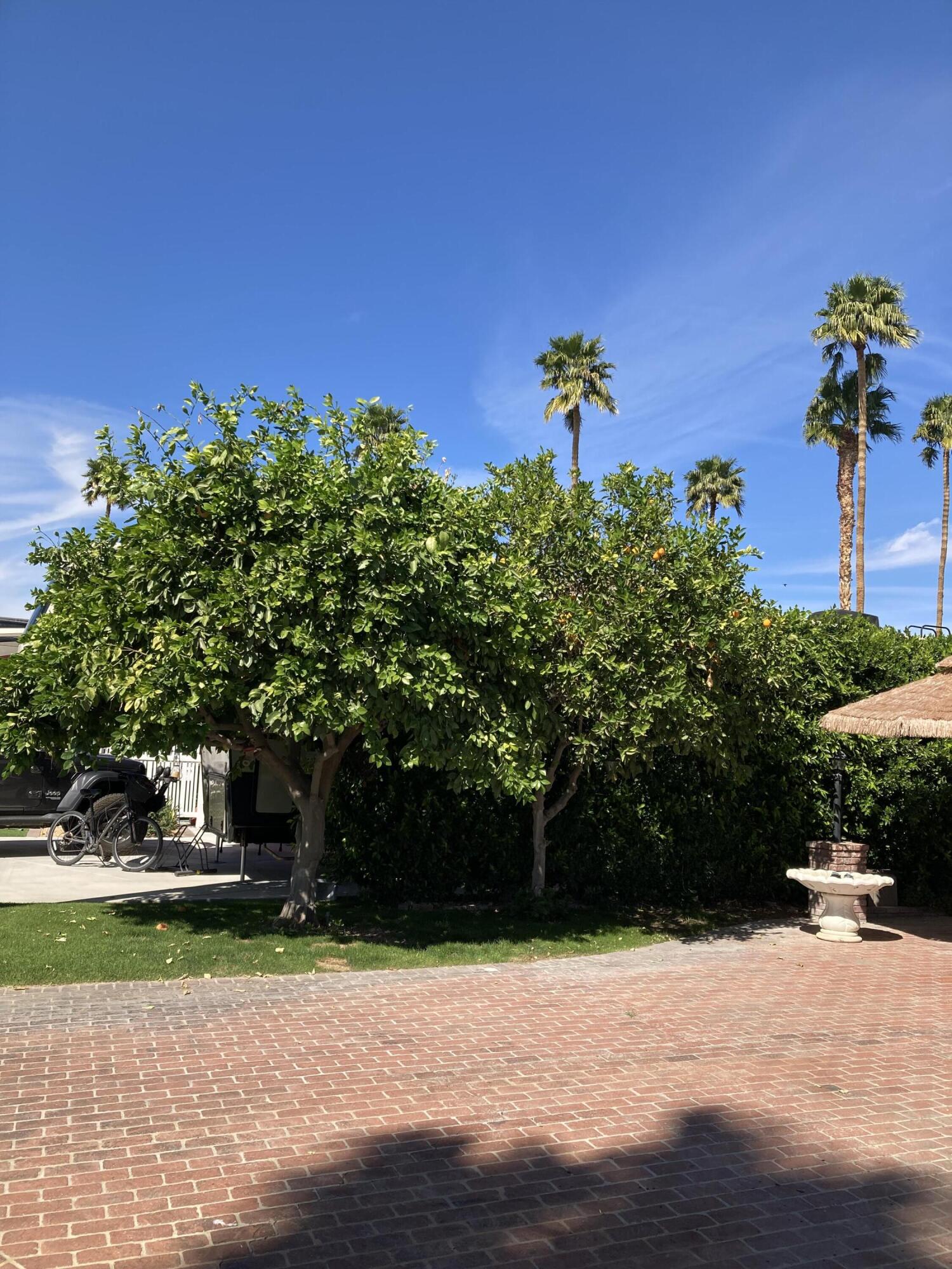 69411 Ramon Road, Unit 201 Cathedral City, CA 92234 - Photo 3 of 5 IMG_2183