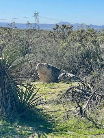 a view of a houses from a yard