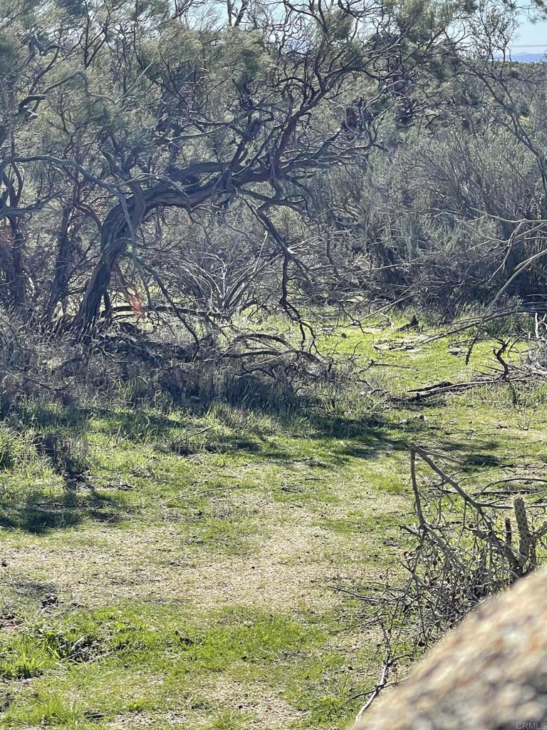 22-acres Tierra Del Sol Road Boulevard, CA 91905 - Photo 2 of 8