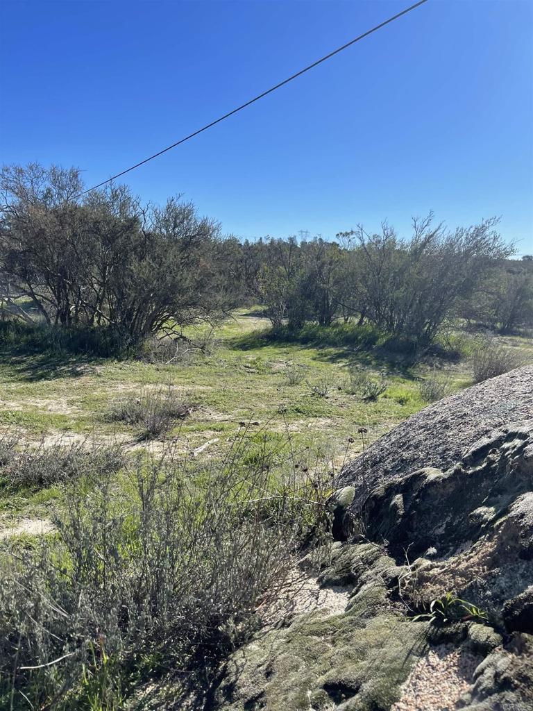 22-acres Tierra Del Sol Road Boulevard, CA 91905 - Photo 3 of 8 a view of a yard with a tree