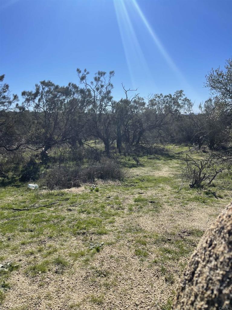 22-acres Tierra Del Sol Road Boulevard, CA 91905 - Photo 4 of 8 a view of a yard with an outdoor space