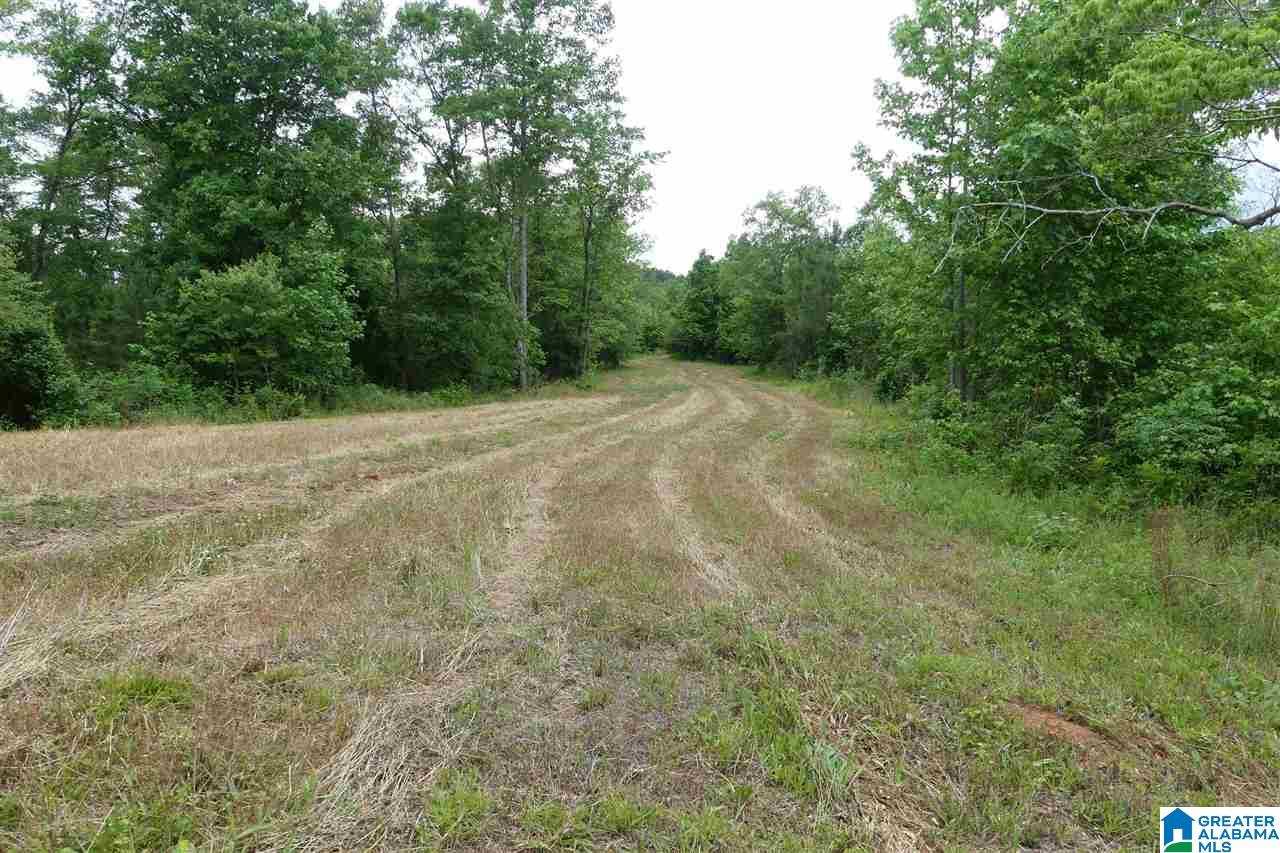 3036 County Road 7 Wedowee, AL 36278 - Photo 5 of 17