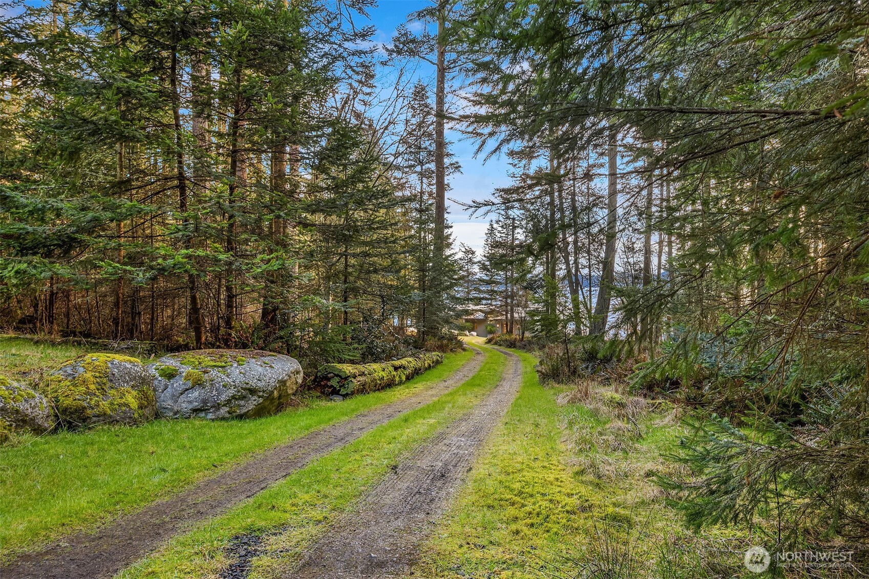 346 Thatcher Pass Road Decatur Island, WA 98221 - Photo 35 of 39 a view of a yard with large trees
