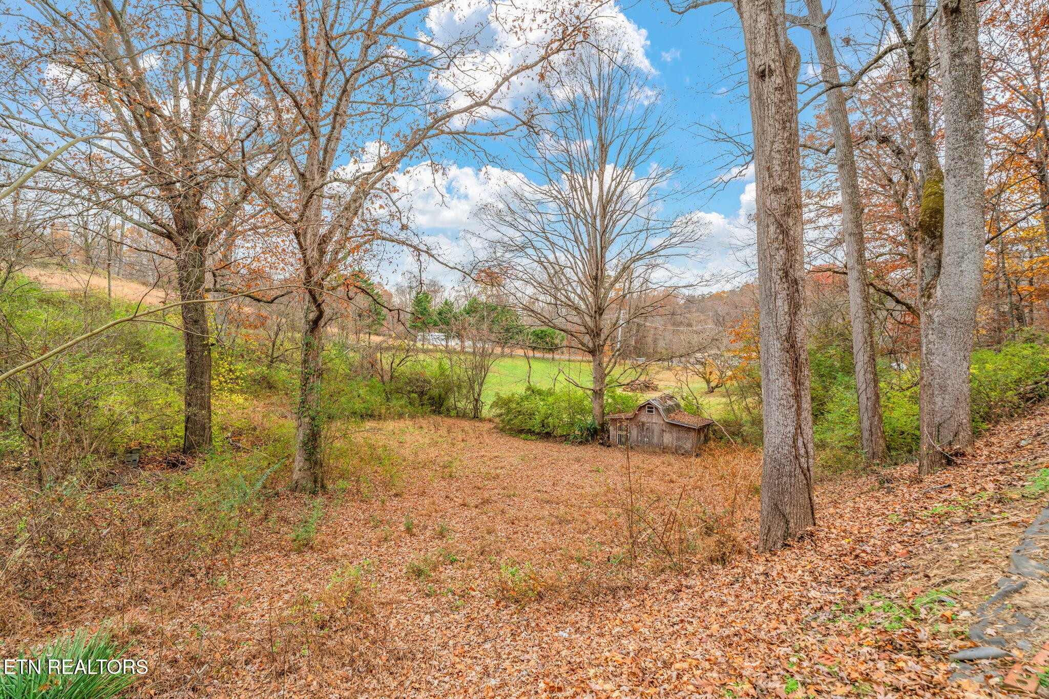 8404 Brickyard Road Powell, TN 37849 - Photo 9 of 49 a view of a yard with a tree