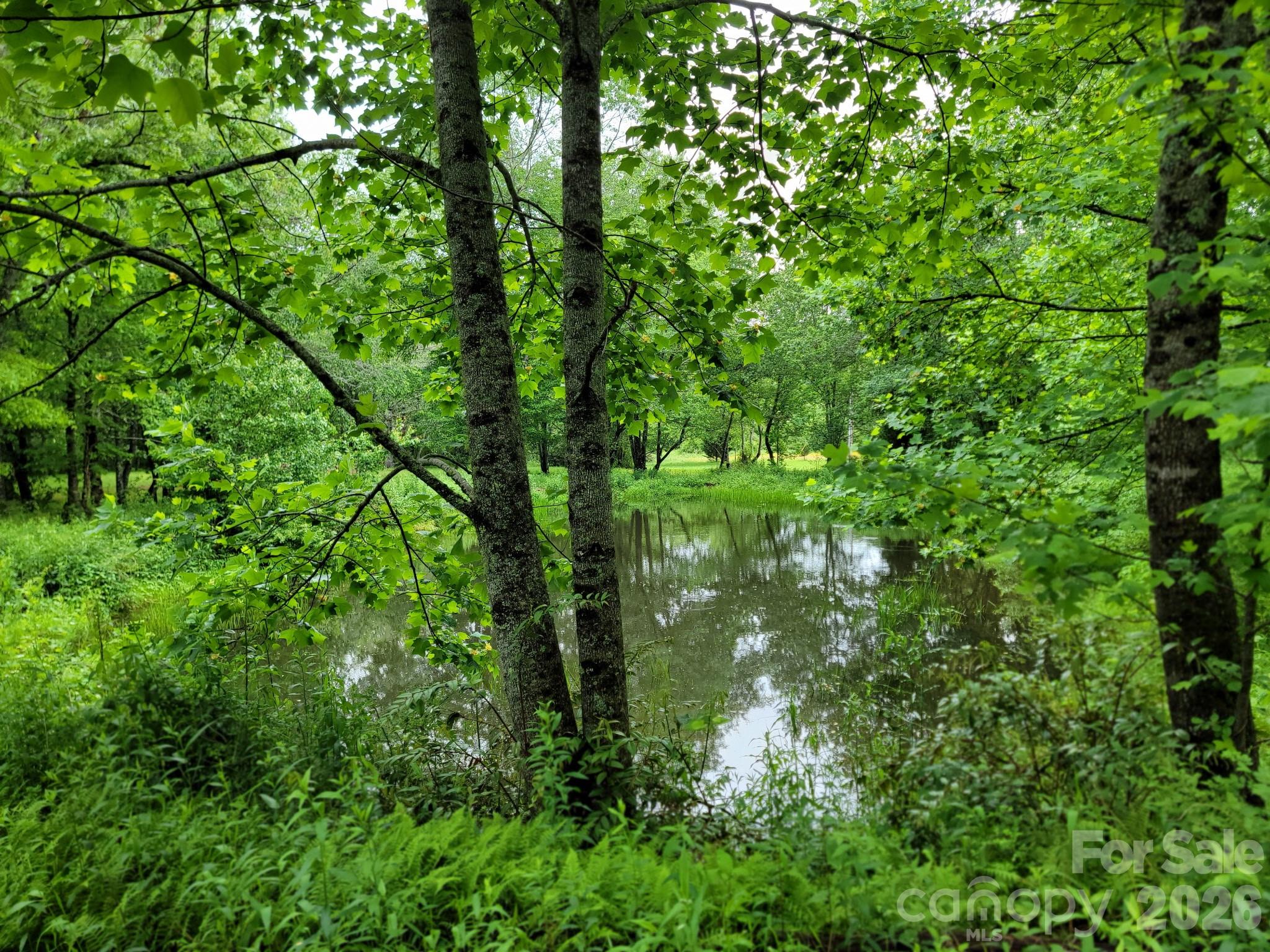 Tbd Sweetwater Rdg Road, Unit 1 Balsam Grove, NC 28708 - Photo 22 of 24 a view of a lush green forest