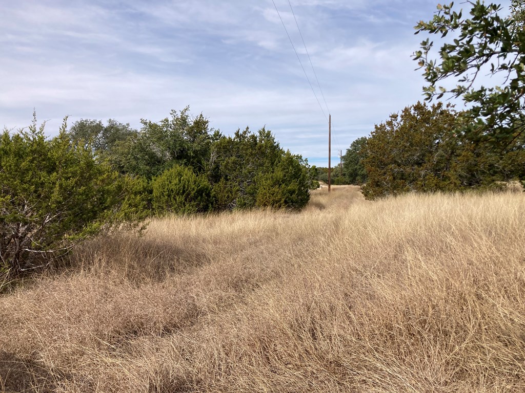 0 Tahoe Road Harper, TX 78631 - Photo 12 of 21