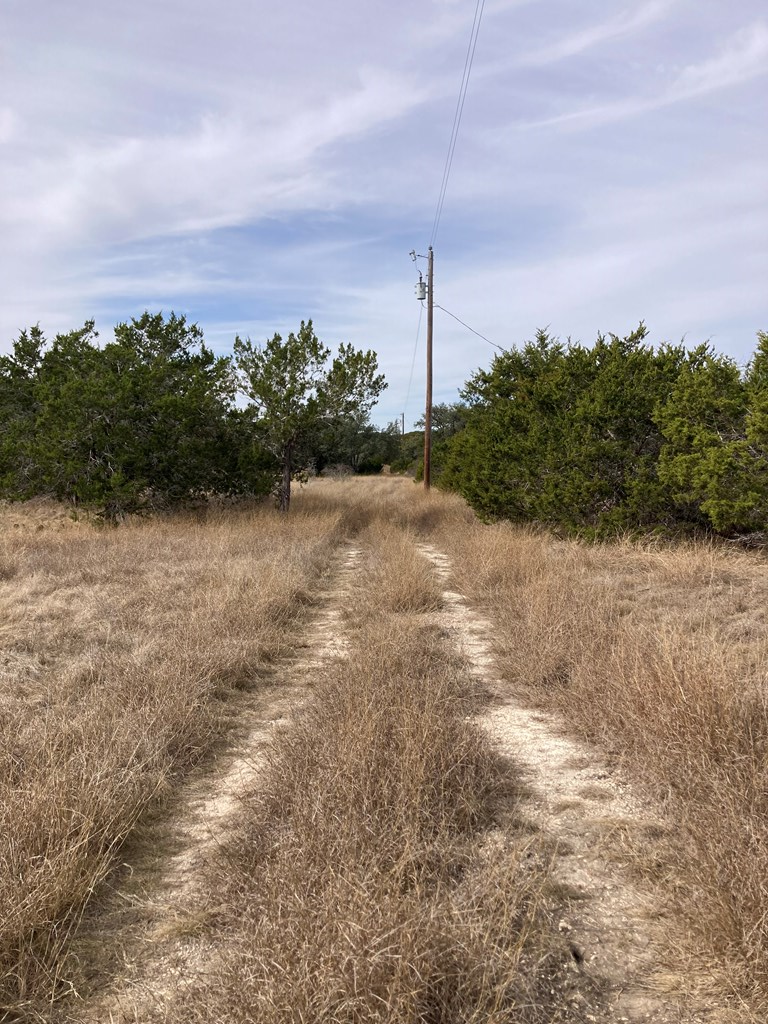 0 Tahoe Road Harper, TX 78631 - Photo 17 of 21 a view of a pathway with a yard