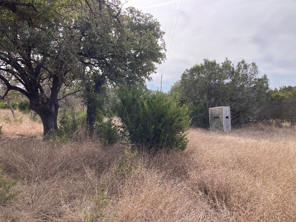 0 Tahoe Road Harper, TX 78631 - Photo 5 of 21 a view of a forest filled with trees