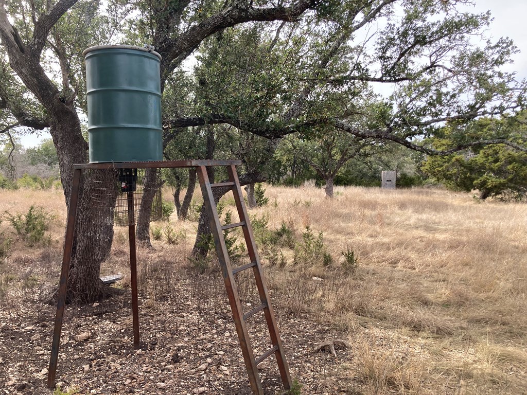 0 Tahoe Road Harper, TX 78631 - Photo 6 of 21 a backyard of a house with lots of green space