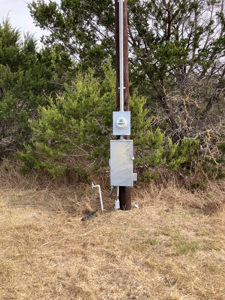 0 Tahoe Road Harper, TX 78631 - Photo 8 of 21 a view of a wall with a tree