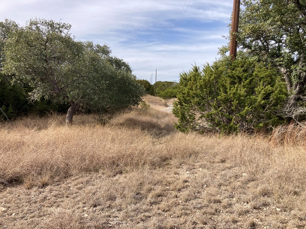 0 Tahoe Road Harper, TX 78631 - Photo 10 of 21 a view of a yard with a tree