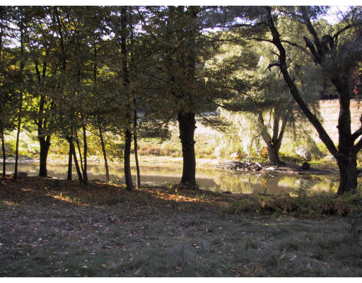 173 Littleton County Road Harvard, MA 01451 - Photo 4 of 4 a view of dirt yard with a tree