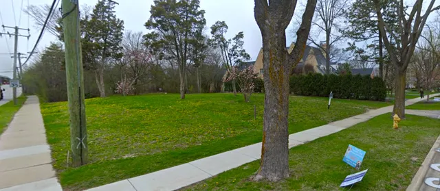 a view of a park with large trees