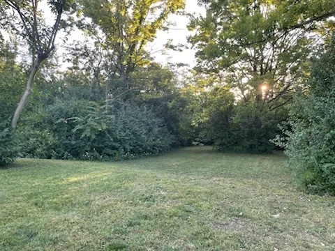 a view of a big yard with a plants