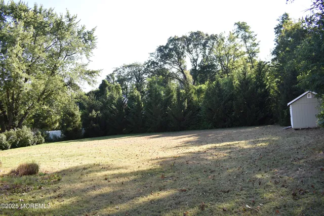 a view of a yard with a tree