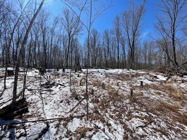 54-55 Wolf Island Road Hayward, WI 54843 - Photo 10 of 20